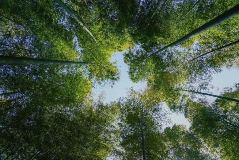 女生平时会经常跟男生分享自己的生活日常，但忙起来就很少找他。说明她喜欢他的吗？