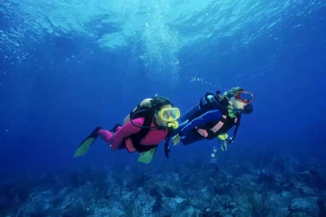 起重机卡车找不同